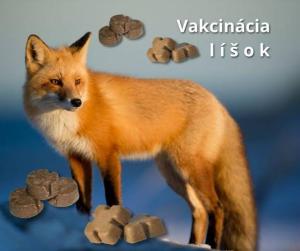 vakcinácia líšok